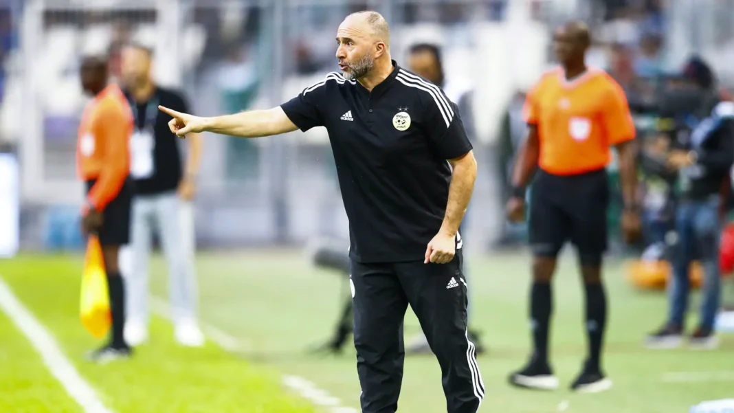Djamel Belmadi, entraîneur de l'Algérie, sur le terrain lors du match amical.