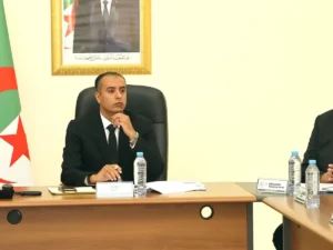 Walid Sadi