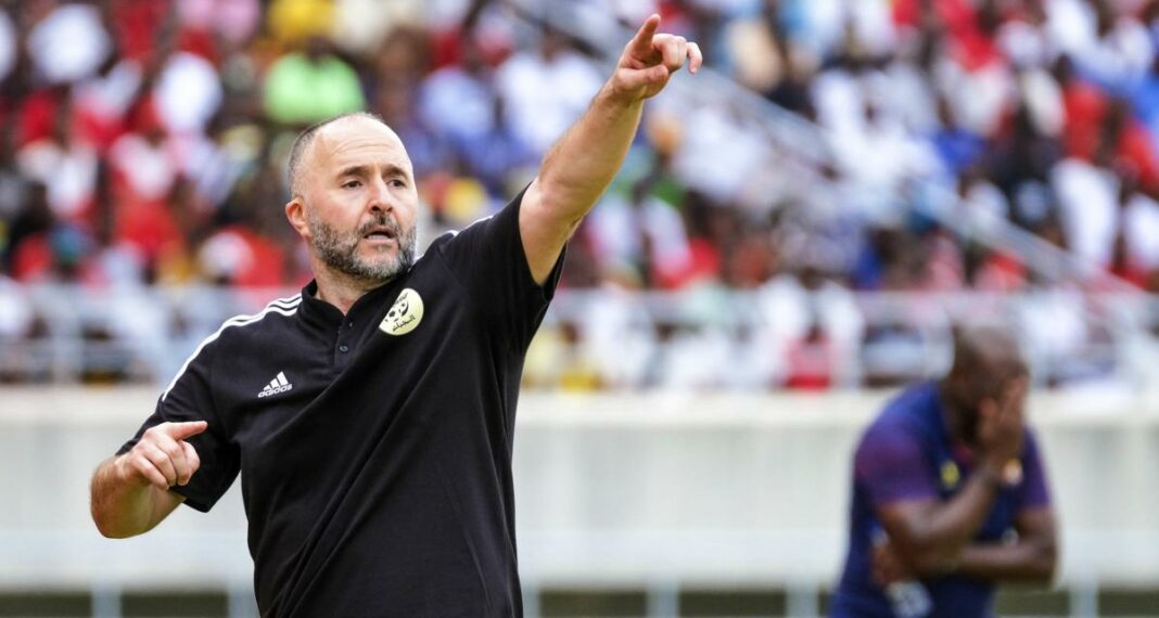 Coup dur pour Belmadi avant Algérie – Burkina Faso : Ismael Bennacer forfait Coach Belmadi donne des instructions sur le terrain de football.