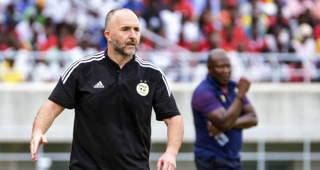 Djamel Belmadi en action lors d'un match Djamel Belmadi, entraîneur de l'équipe d'Algérie, sur le terrain.
