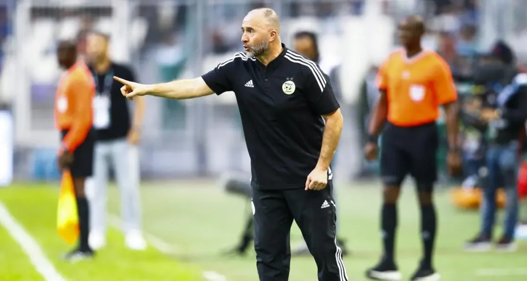 Djamel Belmadi à propos de la blessure de Gouiri, « Il est venu chez nous pour faire constater cette blessure » Djamel Belmadi, entraîneur de football, donnant des instructions sur le terrain.