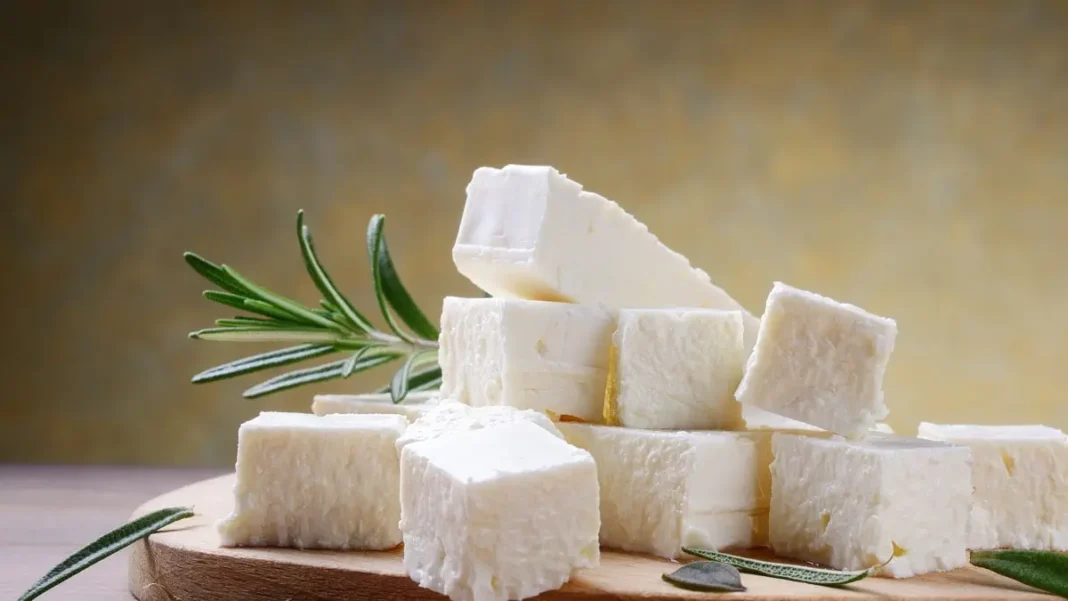 Algérie : A la découverte du premier fromage pressé de lait de chamelle Fromage blanc de lait de chamelle avec herbes aromatiques.