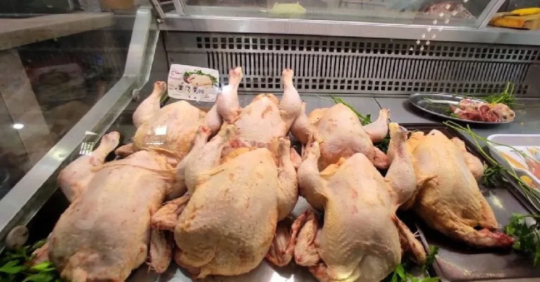 Viande blanche : Pour contrer la hausse des prix, l’Algérie prend une décision radicale Poulets frais exposés dans une vitrine de supermarché en Algérie.