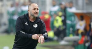 1200 L algrie belmadi reoit une nouvelle trs rassurante avant la can