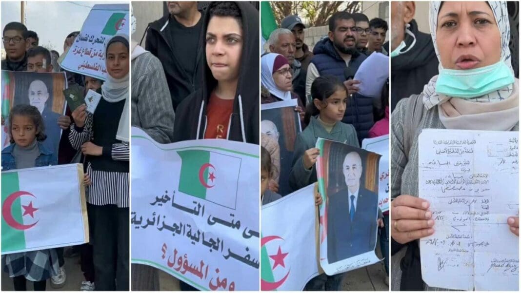 Appel à l’Aide : des Algériens bloqués à Gaza demandent à être évacués Algériens manifestant à Gaza pour leur évacuation urgente.