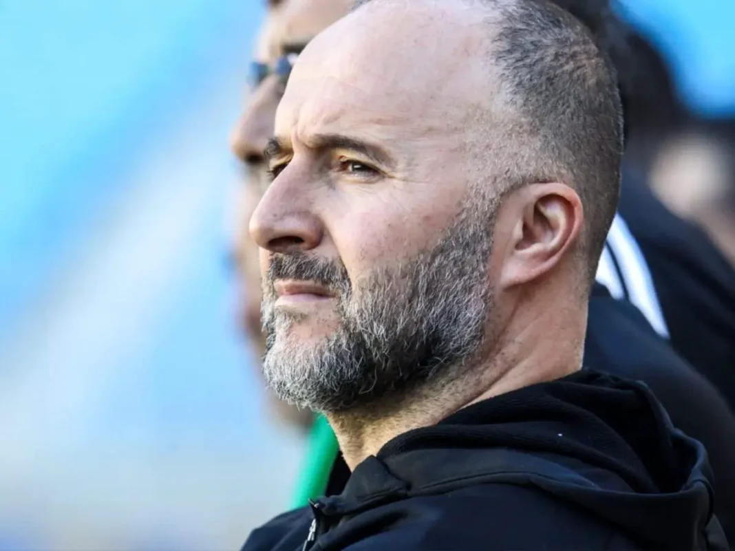 Djamel Belmadi, entraîneur de l'équipe d'Algérie, lors d'une séance d'entraînement.
