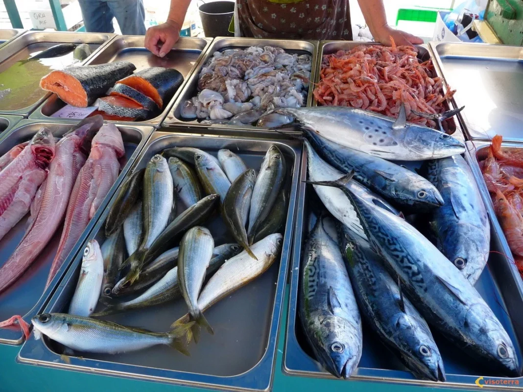 Ramadan 2024 en Algérie : ouverture de 174 points de vente directe de poissons Poissons frais exposés pour la vente lors du Ramadan 2024 en Algérie.