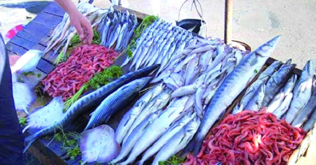 Ramadan/Algérie : vers une disponibilité optimale des produits halieutiques Poissons et fruits de mer frais exposés lors du Ramadan en Algérie.