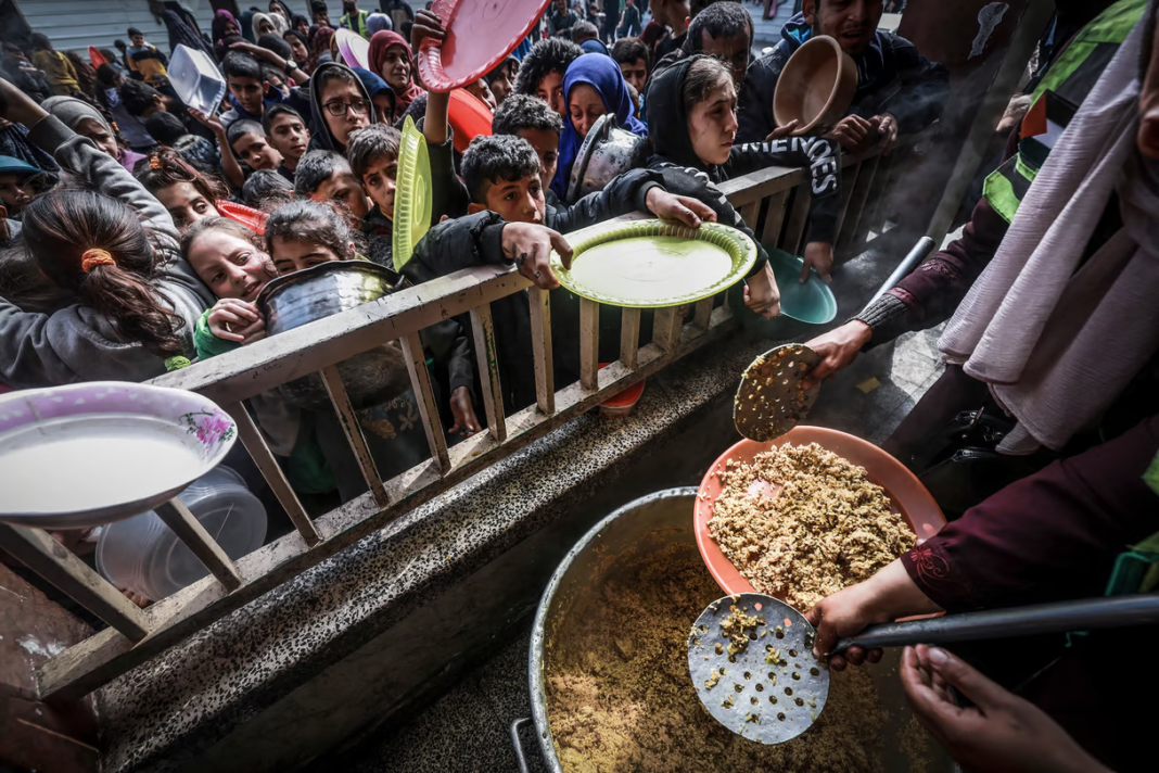 Guerre à Gaza : l’Algérie pose un nouvel acte fort Distribution de nourriture aux réfugiés à Gaza lors du conflit.