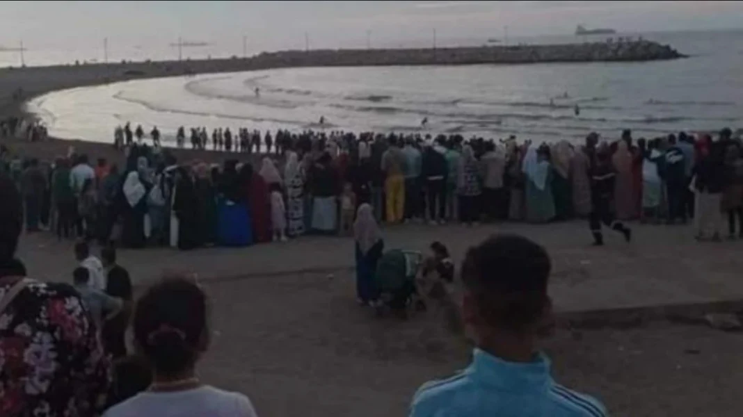 Drame à Alger : 5 enfants meurent par noyade, lors d’une sortie Foule rassemblée au bord de la mer après une noyade d'enfants à Alger.