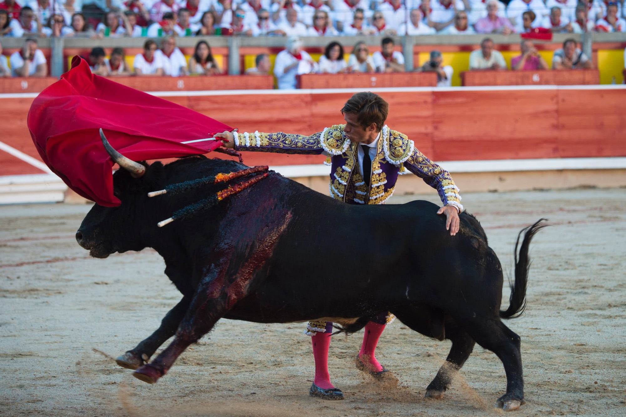une corrida illustration