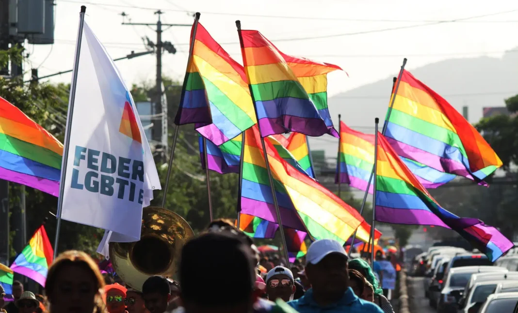 Coup de Tonnerre! Nabil Bentaleb visé par une plainte pour homophobie en France Drapeaux arc-en-ciel lors d'une marche pour l'égalité des droits.