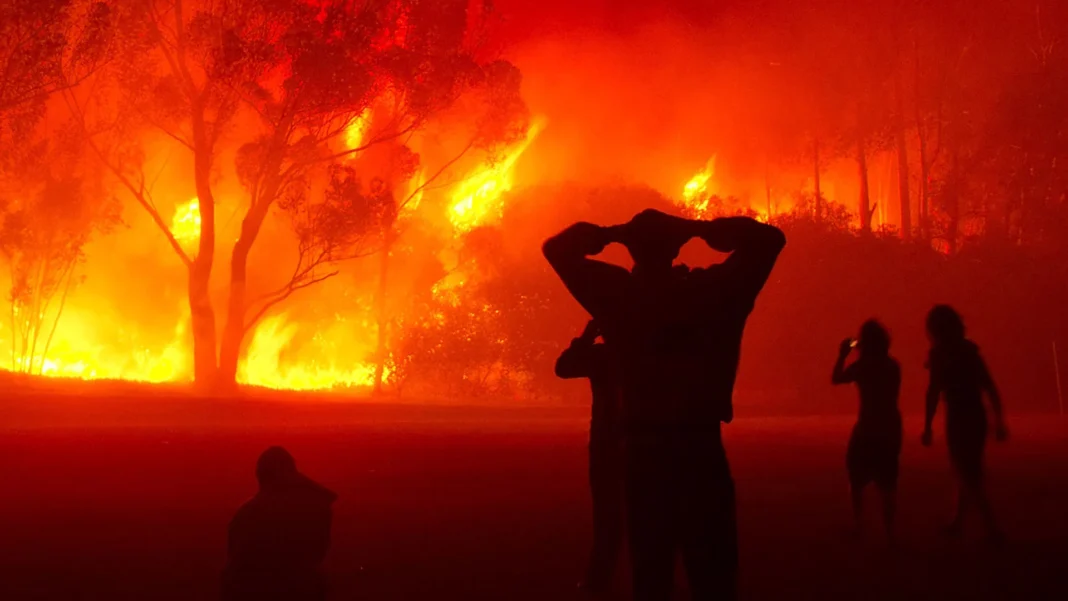 Feux de forêt dévastateurs en Algérie, personnes observant le feu.