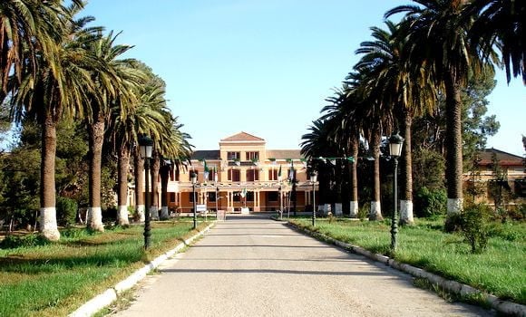 Apothéose de l'Université Djilali Liabès : première dans le classement du Times Higher Education 2024