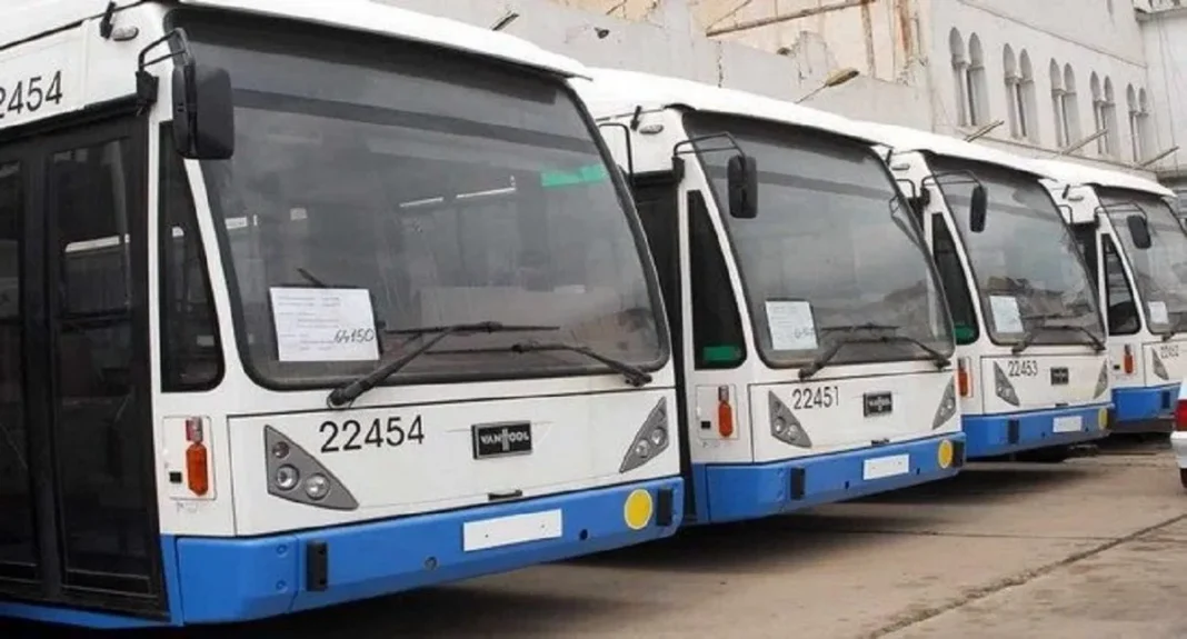 Nouvelle ligne de bus entre l’aéroport d’Alger et Tizi Ouzou : vers une révolution des transport en commun Groupe de bus modernes pour la nouvelle ligne de transport en commun.