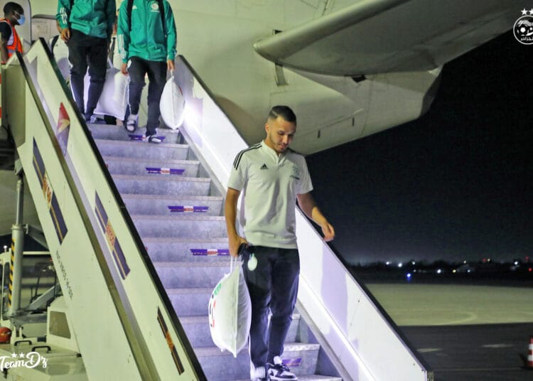 Arrestation de Yanis Hamache  à l’aéroport d’Oran : Ce que vous ne savez pas...