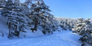Météo Algérie : chutes de neige et aux fortes pluies ce week-end dans ces villes... 2 chutes de neige et aux fortes pluies ce week-end dans ces villes...