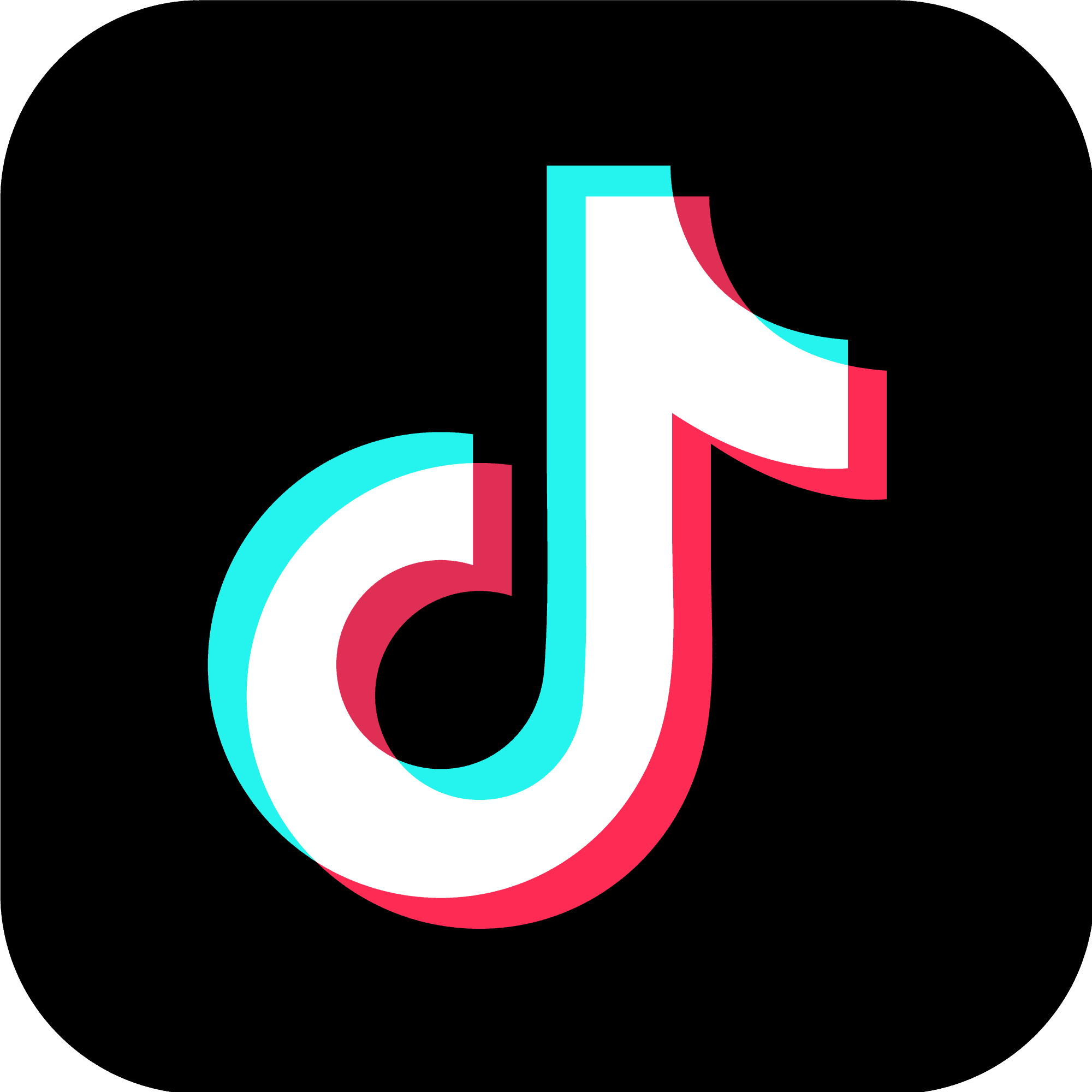 TikTok interdit pour un an dès janvier 2025 dans ce pays !