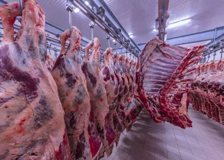 picture caracteristiques viande halal une les