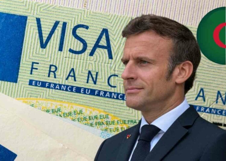 visa pour france algeriens president macron devoile nouveau