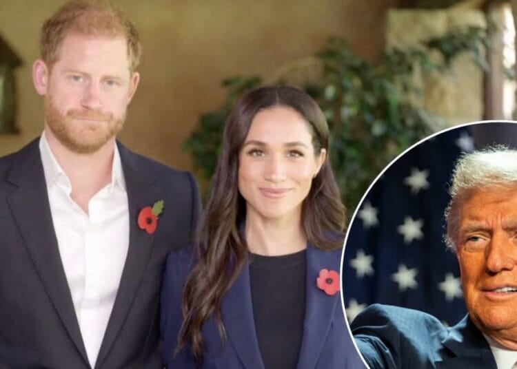 Donald Trump face à Harry et Meghan : le torchon brûle de plus belle
