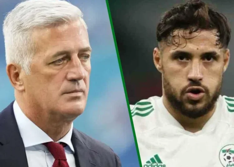 Youcef Belaïli de retour avec les Fennecs : le pari risqué de Petkovic qui enflamme l'Algérie !