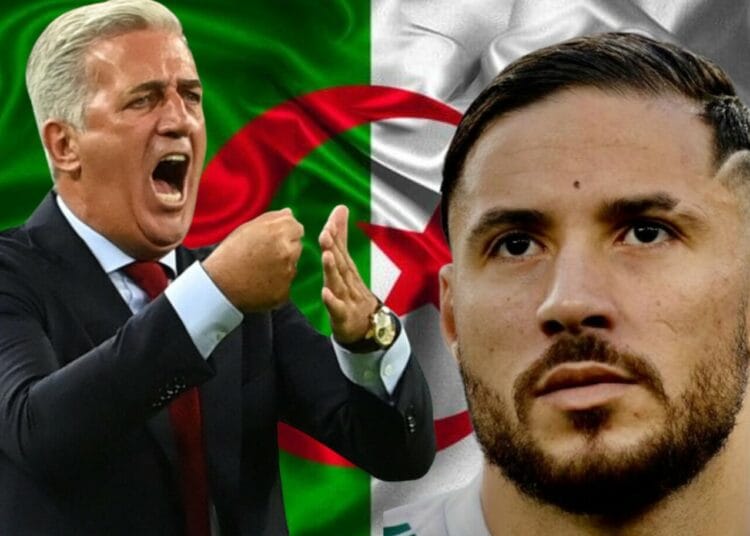 Youcef Belaïli de retour ? La folle annonce de Petkovic