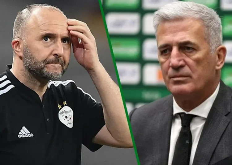Elim Mondial 2026 : un protégé de Belmadi viré par Petković  