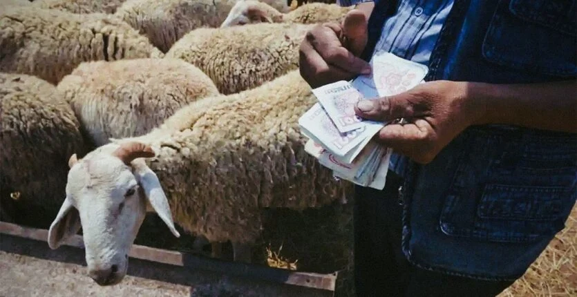 Aïd-el-Adha 2025 en Algérie : 1 million de moutons importés pour une facture salée de 260 millions de dollars !