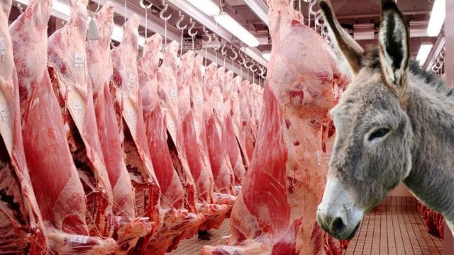 Ramadan 2025 : Ils ont failli faire manger de la viande d'âne aux Algériens, la justice a sanctionné !