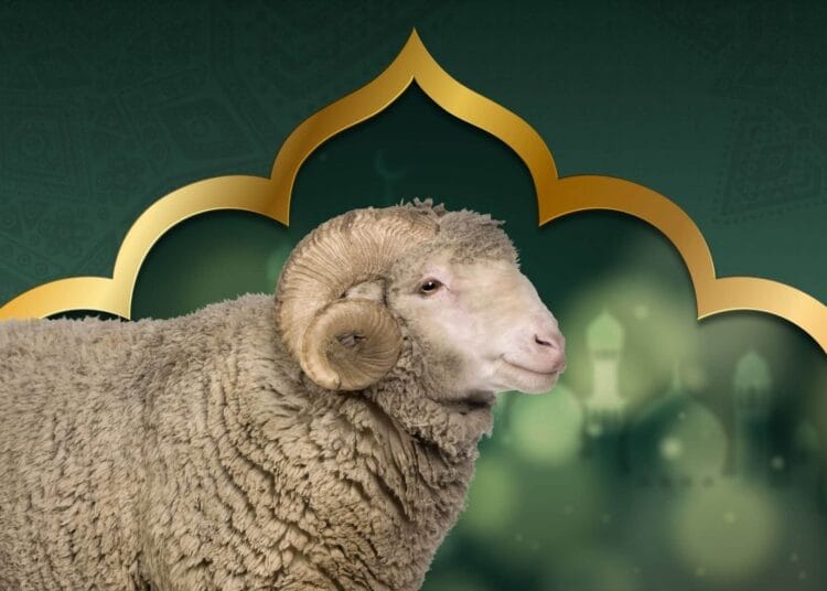 Aïd al-Adha 2025 en Algérie : tout ce que vous devez savoir sur la fête du sacrifice