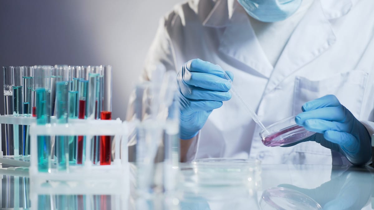 analyses toxicologiques