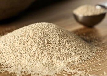 Algérie : une nouvelle usine de levure pour remplacer 100 millions $ d’importations