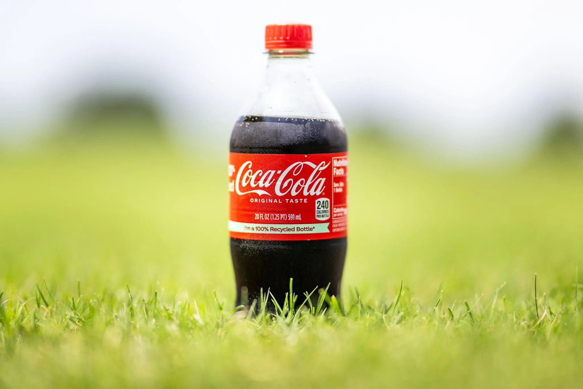 Coca-Cola fête 32 ans en Algérie avec une grande campagne nationale Made in Algeria