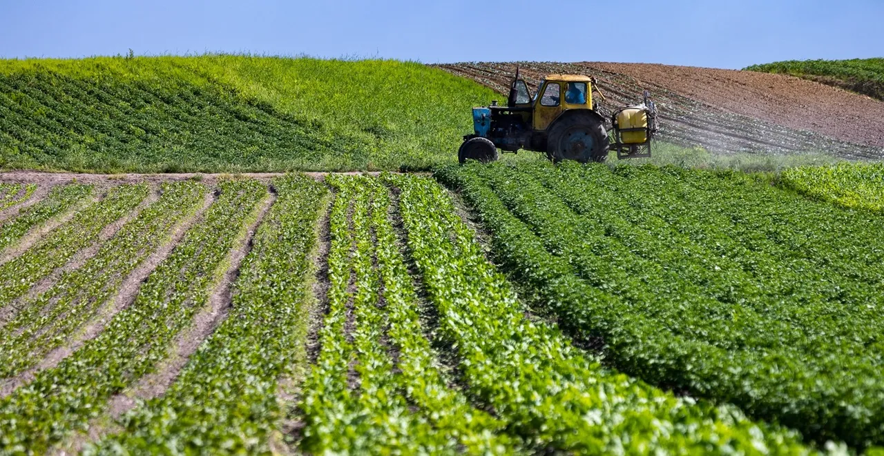 Algérie : pourquoi le grand nettoyage du foncier agricole pourrait tout changer