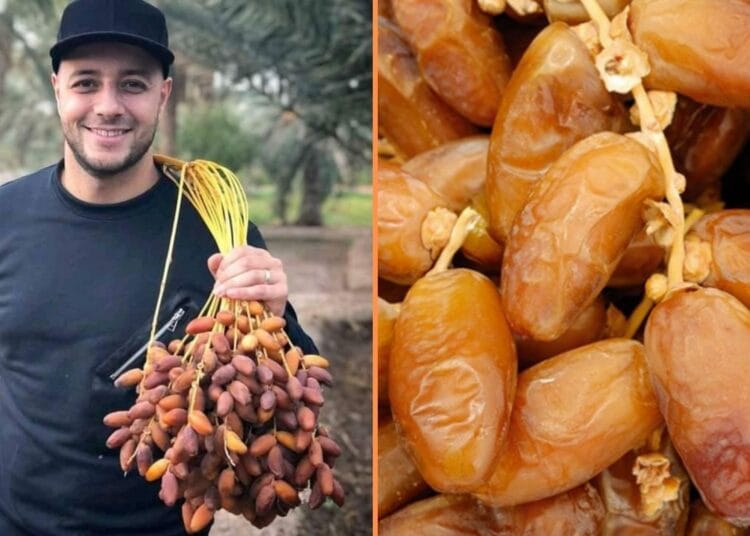 Découvrez le plan en 7 étapes de l'Algérie pour les dattes !