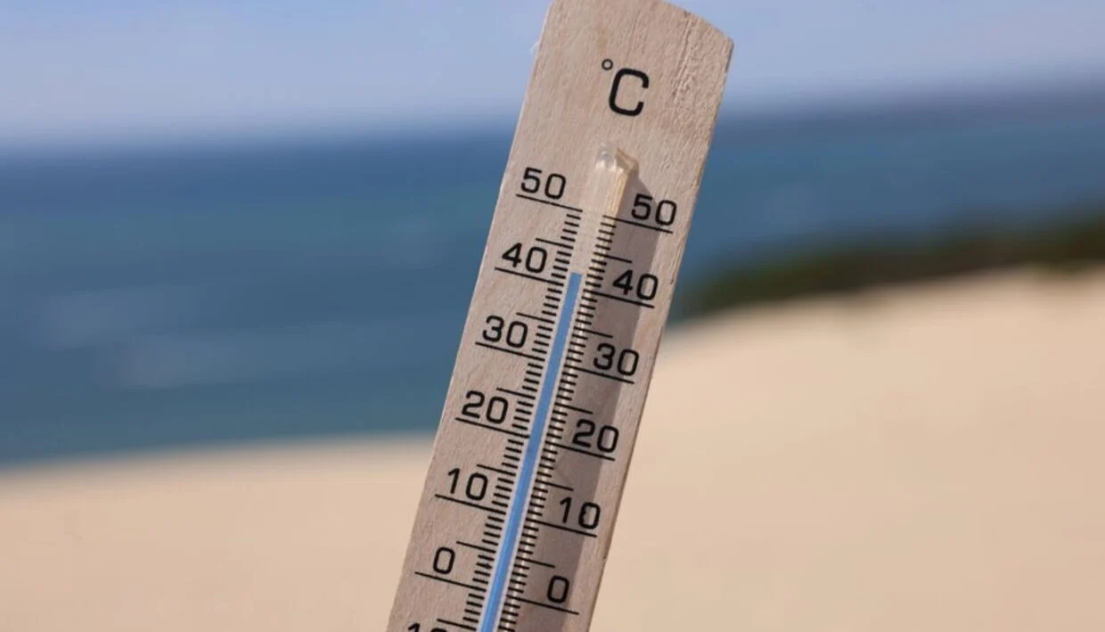 Canicule en Algérie : jusqu’à 46°C attendus ce week-end dans 7 wilayas selon un BMS officiel