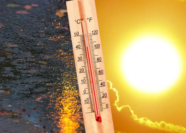Canicule en Algérie : jusqu’à 46°C attendus ce week-end dans 7 wilayas selon un BMS officiel