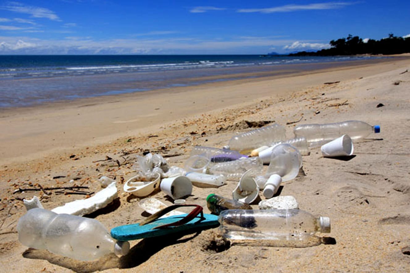 Phénomènes insolites sur les plages en Algérie : découvrez pourquoi ils persistent année après année