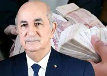 Blanchiment d’argent en Algérie : l’industrie automobile dans le viseur du dernier Conseil des ministres