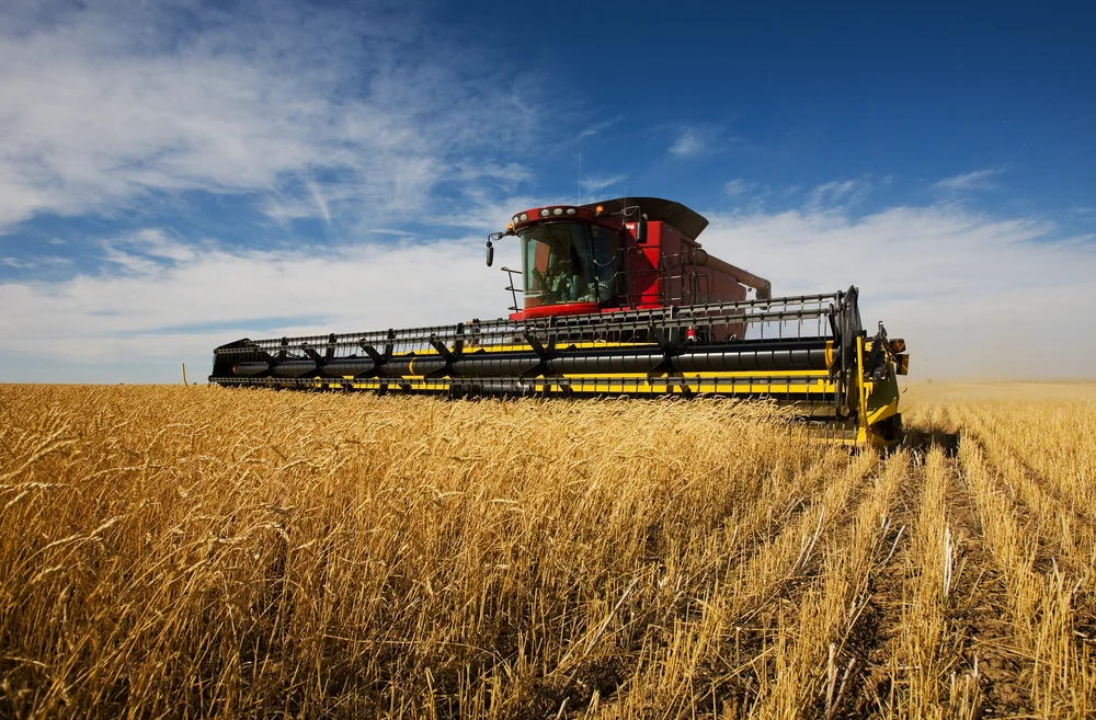 Nouvelle stratégie agricole en Algérie : vers un modèle basé sur la conditionnalité pour une agriculture durable et performante