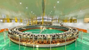 Algérie : Nouvelle étape pour le projet Baladna Algérie : Nouvelle étape pour le projet Baladna