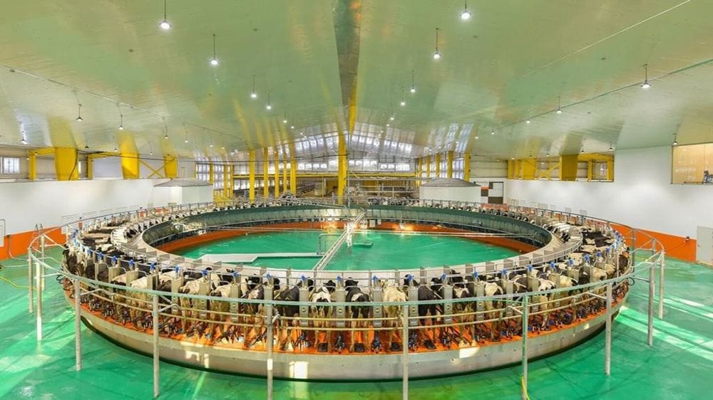 Baladna investit 500 millions de dollars pour lancer une ferme géante en Algérie