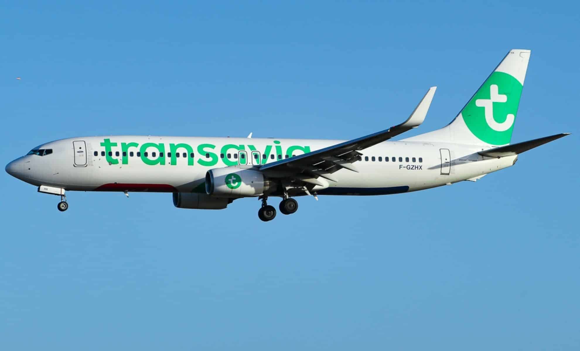 Transavia frappe fort : deux nouvelles lignes vers l’Algérie et un vol retour quasi vide !