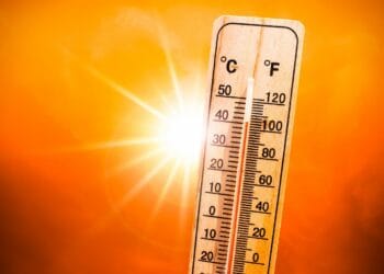 Canicule