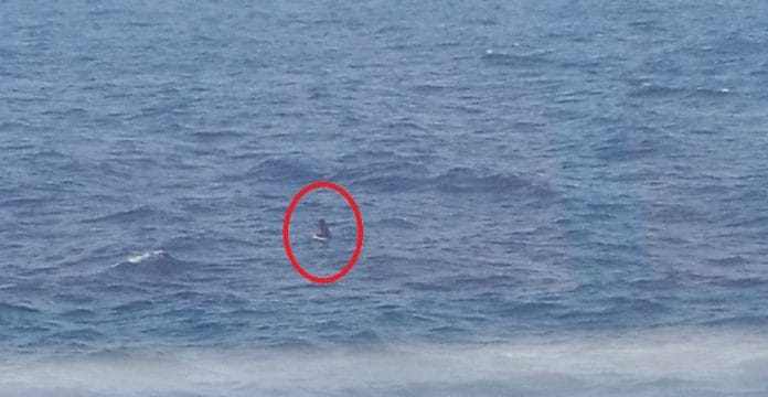 Ce Migrant Marocain brave la mer pour rejoindre l’Espagne à la nage : une traversée risquée qui captive l’attention