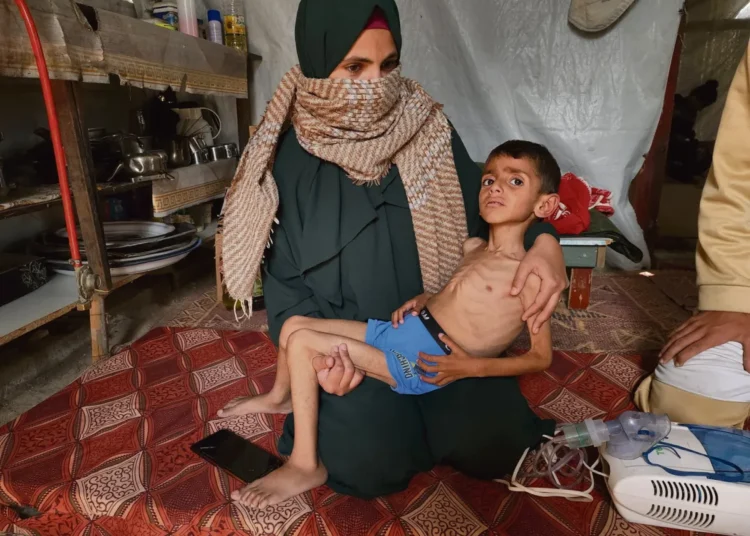 Famine à Gaza : des civils s’écroulent dans les rues sous les yeux du monde entier