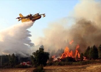 Suspect arrêté en Algérie après un incendie meurtrier en France : les derniers rebondissements de l'enquête