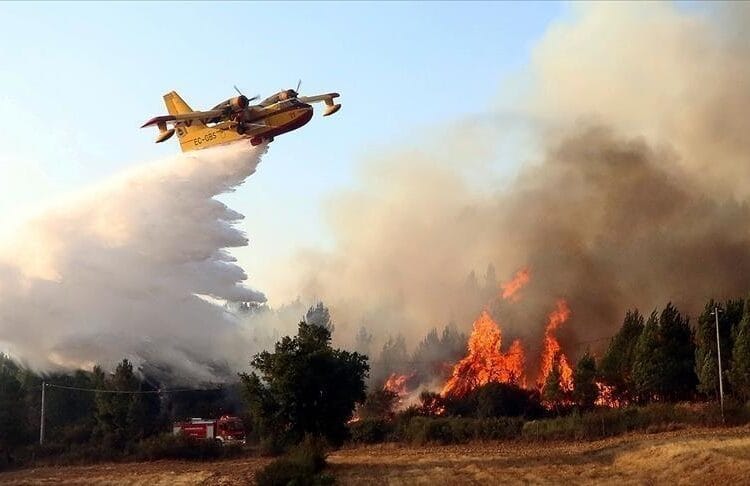 Suspect arrêté en Algérie après un incendie meurtrier en France : les derniers rebondissements de l'enquête