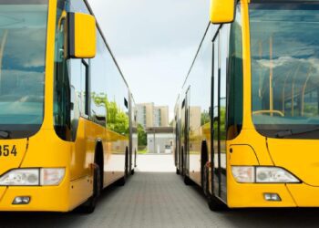 Tebboune agit vite : importation record de bus et pneus